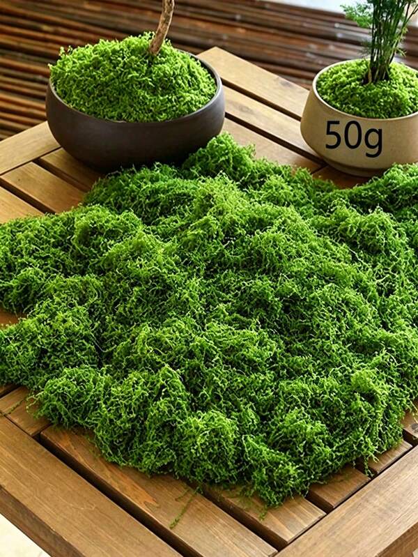Décoration de mousse d'herbe artificielle, 10/30/100 grammes, convient pour les bonsaïs et les micro-paysages, peut être utilisé comme plantes vertes simulées, décoration de jardin extérieure, articles de jardin, décoration de pot de fleurs/chambre/décoration de plantes/décorations de mariage/décorations d'Halloween