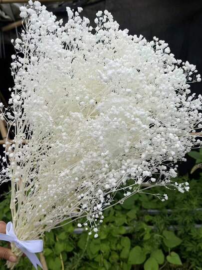 50/80/100g Artificial White Gypsophila, Suitable For Wedding Decoration, Home Decoration, Candle Making, Etc. | Home Decor, Ideal For Weddings, Valentine's Day, Christmas, Thanksgiving, Floating Flower Pressed Flower Glass Dome Floral Material