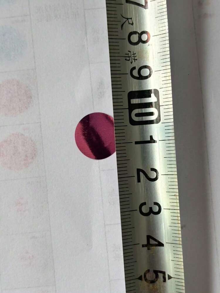 20個粉色與白色氣球，淡粉色與白色氣球，適用於生日派對裝飾、女性婚禮、迎新派對、新娘迎新派對 - rose pink - 查看 4