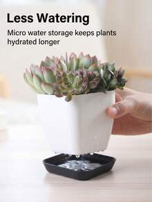 1入自動澆水多肉植物盆栽，附可拆卸接水盤，透氣底座，微量儲水，塑膠花盆，現代極簡風，白黑配色，正方形與長方形，適用多肉植物、香草，室內窗台桌面居家裝飾 - 塑膠多肉專用盆 - 查看 7