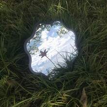 1件花卉波浪木框壓克力壁掛鏡，不對稱花形掛式梳妝裝飾鏡，適合臥室玄關居家牆面裝飾 - F - 查看 3