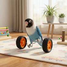 Parrot Balance Toy Skateboard - Parrot, Wave Parrot, Couple Parrot, Little Sunflower Parrot, Cone Parrot Training And Intelligence Toy - Fun Bird Cage Toy And Accessories, Relieve Boredom, Exercise Skills And Coordination Ability - A+B - View 5