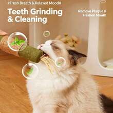1pc Cat Stick, Used For Teeth Grinding And Cleaning, Relieving Boredom, Chasing And Playing, Promoting Cat Health And Exercise, Cat-Favorite Mint Scent, Perfect Gift For Pets, Promoting Intimate Interaction Between Humans And Pets - Multicolor - View 2