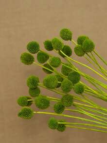 10/20pcs Artificial Craspedia Stem Yellow Billy Ball Flower Heads, Large Diameter Approx 1-1/2 Inch, For Home Decor, Photo Props, DIY Wedding Decoration - Yellow-green Gold Ball - View 2
