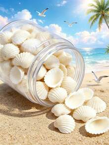 1 Caja de Juego de Cuentas de Conchas de Caracol Marino Naturales Mixtas - Formas de Espiral, Rana Toro, Trompeta, Arca, Caracol, Adecuado para la Fabricación de Joyas, Manualidades DIY - 1 caja de conchas marinas - Ver 14
