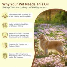 GJYC PET Pet Fur Care Oil - Detangles, Reduces Shedding - Adds Shine With Collagen &Amp; Natural Oils - Leave-In Conditioner For Dogs &Amp; Cats - 101 Fl Oz - White - View 6
