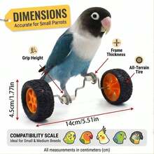 Parrot Balance Toy Skateboard - Parrot, Wave Parrot, Couple Parrot, Little Sunflower Parrot, Cone Parrot Training And Intelligence Toy - Fun Bird Cage Toy And Accessories, Relieve Boredom, Exercise Skills And Coordination Ability - A+B - View 2
