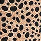 Leopard Print