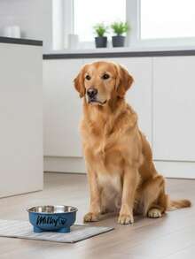 Customized Text LOGO Pet Bowl Dog Food Bowl Milk Bowl Dog Bowl Stainless Steel + Plastic Material Dog Eating Bowl Easy To Clean Durable, Customizable Plastic Pet Bowl, Personalized Name Customization, Suitable For Dogs And Cats, Detachable Stainless Steel Bowl Design Easy To Clean, Perfect Pet Souvenir Gift, - Multicolor - View 4