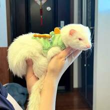 1套雪貂牽繩背心 可調節小寵物繩 可愛恐龍設計附鈴鐺 適合戶外散步 - 綠色 - 查看 1