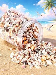 1 Caja de Juego de Cuentas de Conchas de Caracol Marino Naturales Mixtas - Formas de Espiral, Rana Toro, Trompeta, Arca, Caracol, Adecuado para la Fabricación de Joyas, Manualidades DIY - 1 caja de conchas marinas - Ver 17