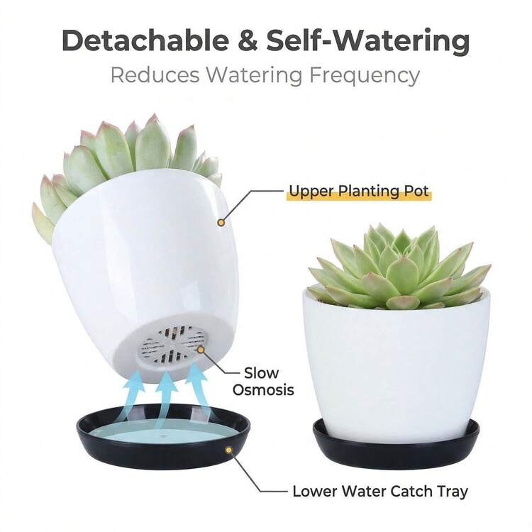 1‑Pack Self‑Watering Succulent Plant Pot With Detachable Water‑Catch Tray, Breathable Base, Micro Water Storage, Plastic Planter, Modern Minimalist Style, White‑Black, Square & Rectangular, For Succulents Herbs, Indoor Windowsill Desk Home Decor - Plastic Succulent Pots - View 2