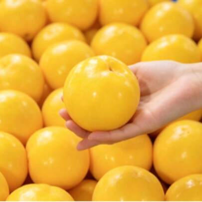 New Malleable Water-Like Ball, Soft & Bouncy Glossy Round Ball, Squeeze To Relieve All Unhappiness, Stretch & Knead For Ultimate Stress Relief