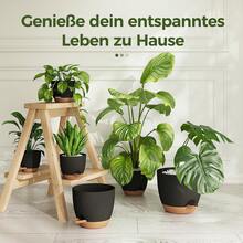 6er Set schwarze selbstbewässernde Blumentöpfe mit Untersetzer, 6 Größen 12,7–20,3 cm, Anzuchtkästen für Zimmerpflanzen Fensterbankdekoration - 6 Stück - Übersicht 5