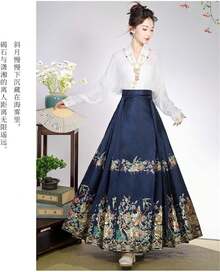 Traje de baile de Hanfu Tang Ming para mujer, diseño de patrón dorado, bordado de Hanfu - Falda azul marino - Ver 2