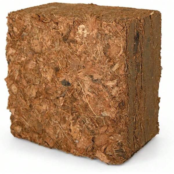 Garden Fibra de comprimida (14cm x 8cm x 14) para Tus macetas, huertos urbanos y Reptiles (.5L).