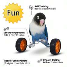Parrot Balance Toy Skateboard - Parrot, Wave Parrot, Couple Parrot, Little Sunflower Parrot, Cone Parrot Training And Intelligence Toy - Fun Bird Cage Toy And Accessories, Relieve Boredom, Exercise Skills And Coordination Ability - A+B - View 3