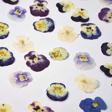 48/32/16 piezas Adornos florales multicolores, incrustaciones decorativas de rosa matcha para resina epoxi, vela, jabón, DIY, marcapáginas, joyería, funda de teléfono, decoración de espejo, color aleatorio, regalo de graduación, cumpleaños, Día de la Madre, Día de la Mujer, jubilación para mujeres y niñas - multicolor - Ver 4