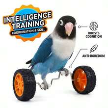 Parrot Balance Toy Skateboard - Parrot, Wave Parrot, Couple Parrot, Little Sunflower Parrot, Cone Parrot Training And Intelligence Toy - Fun Bird Cage Toy And Accessories, Relieve Boredom, Exercise Skills And Coordination Ability - A+B - View 1