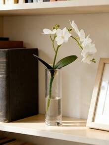5pcs Transparent Cylindrical Vases, Suitable For Fresh Flowers, Modern Desktop Decor, Home And Wedding Decoration, Shatter-Resistant Round Vases, Perfect For Floral Arrangements And Minimalist Style | Table Centerpiece Decor | Wedding Table Setting - Transparent - View 3