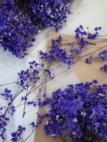 Grape Purple Starry Sky