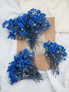 Sapphire Blue Starry Sky