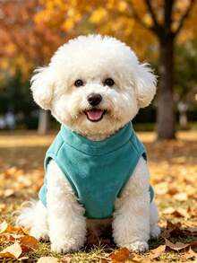 10kg以下小型犬與中型犬適用保暖抓絨拉鍊狗背心，柔軟防風冬季狗狗衣服，易穿脫無袖幼犬夾克，舒適保暖寵物毛衣套裝，適合貴賓犬、比熊犬、法鬥 - 彩色 - 查看 7