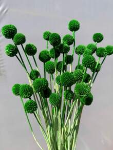 10/20 Peças Buquê de Flores Bola Dourada Artificial - Lótus da Neve Sem Resíduos Tipo Vidro, Flores Esféricas Multicoloridas Vibrantes, Adequado para Artesanato DIY, Casamento e Decoração Doméstica, Peça Central Durável do Estilo Floral Rústico ao Moderno - Bola dourada verde-escura - Visão 4