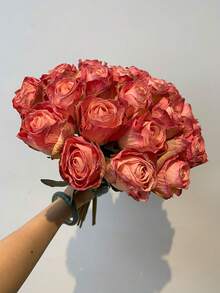 7/4/3/2/1 Pc Artificial Coral Pink Flame Rose, Mother's Day Decoration, Wedding Season, Graduation, Gift, Candlelight Dinner, Tabletop, Centerpiece, Plastic Flowers, School Dormitory Office Decoration, Outdoor Party Event Holiday Birthday Party Deco - Coral Pink - View 8