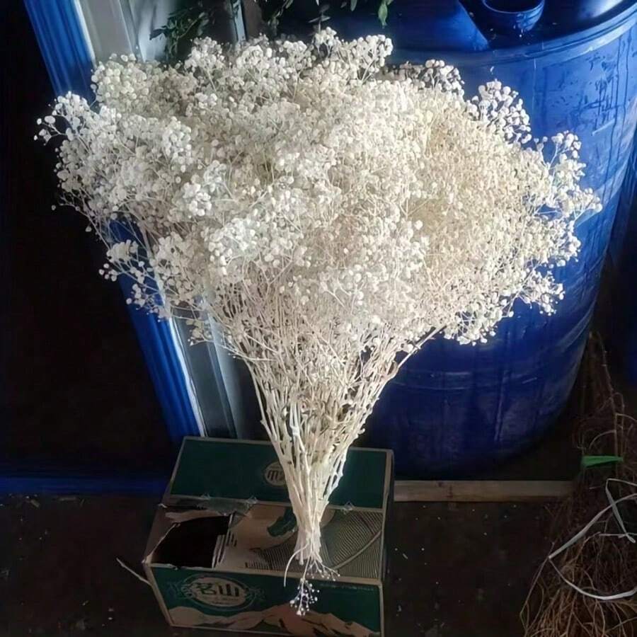1束2000+花頭 人造滿天星花束 16英吋象牙白保鮮真花花束 花瓶填充花莖 適用婚禮裝飾、桌面中心裝飾、居家裝飾、DIY花藝手工 - 漂白色 - 查看 1