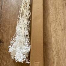 1束2000+花頭 人造滿天星花束 16英吋象牙白保鮮真花花束 花瓶填充花莖 適用婚禮裝飾、桌面中心裝飾、居家裝飾、DIY花藝手工 - 漂白色 - 查看 5
