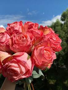 7/4/3/2/1 Pc Artificial Coral Pink Flame Rose, Mother's Day Decoration, Wedding Season, Graduation, Gift, Candlelight Dinner, Tabletop, Centerpiece, Plastic Flowers, School Dormitory Office Decoration, Outdoor Party Event Holiday Birthday Party Deco - Coral Pink - View 11