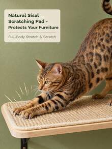 Cat Wall Shelf With Scratching Board, Pine Wood Wall-Mounted Floating Cat Perch, Windowside Hanging Hammock, Cat Wall Furniture For Sleeping, Playing And Climbing - Multicolor - View 8