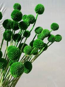 10/20 Peças Buquê de Flores Bola Dourada Artificial - Lótus da Neve Sem Resíduos Tipo Vidro, Flores Esféricas Multicoloridas Vibrantes, Adequado para Artesanato DIY, Casamento e Decoração Doméstica, Peça Central Durável do Estilo Floral Rústico ao Moderno - Bola dourada verde-escura - Visão 3