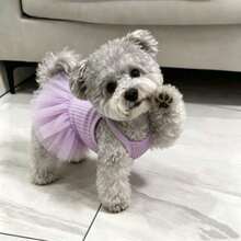 1pc Taro Purple Sleeveless Mesh Tutu Pet Dress, Summer Breathable Princess Style Camisole Outfit For Small Dogs And Cats - Purple - View 11