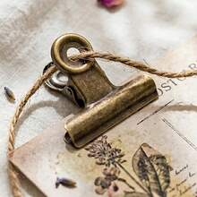 3pcs/8pcs/20pcs/30pcs/40pcs/50pcs Antique Copper Photo Clips, Vintage Copper Clips, Vintage Folder Clips, Ticket Clips, Sealing Clips, Photo Clips, Ticket Clips, Stationery Clips, Folder Clips, Exam Paper Clips, Sealing Clips - Clip - View 12