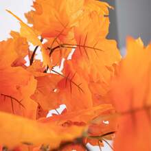 5pcs Autumn Flower & Leaf Branches, Artificial Orange Maple Leaf Stems, Faux Autumn Floral Stems For Vase Arrangement, Home Decor, American Country Style Scenes, Thanksgiving Table Centerpiece, Fireplace And Halloween Decoration - Orange - View 7