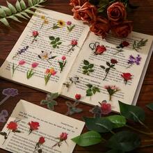 40pcs/Pack Vintage Realistic Botanical Floral PET Waterproof Stickers, Vintage Plant Flower Self-Adhesive Stickers, Suitable For Planner, Scrapbook, Water Cup DIY Decoration, Aesthetic Handmade Stationery Supplies, Suitable For Planner, Laptop Art Projects - 40Pcs - View 10