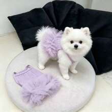 1pc Taro Purple Sleeveless Mesh Tutu Pet Dress, Summer Breathable Princess Style Camisole Outfit For Small Dogs And Cats - Purple - View 12