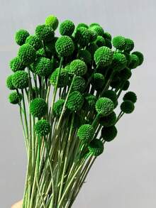 10/20 Peças Buquê de Flores Bola Dourada Artificial - Lótus da Neve Sem Resíduos Tipo Vidro, Flores Esféricas Multicoloridas Vibrantes, Adequado para Artesanato DIY, Casamento e Decoração Doméstica, Peça Central Durável do Estilo Floral Rústico ao Moderno - Bola dourada verde-escura - Visão 2