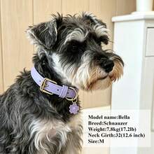 Lightweight PU Litchi Grain Soft Leather Customized Dog & Cat Collar, Sweet & Cute, Engraved Nameplate - Multicolor - View 7