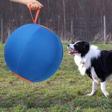 Golden-Haired Dog Inflatable Ball Set, Fun And Training Toys For Bulldogs, Australian Shepherds, Keeps Pets Engaged, Battery-Free Entertainment - Blue Orange - View 5