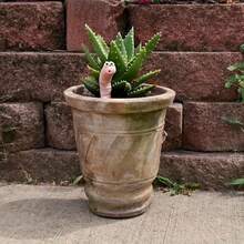 5/1pc Worm Water Sensor, Greenhouse Worm Water Sensor, Plant Decoration, Indoor Plant Hygrometer, Gardening Monitoring Potted Plant Decoration - Multicolor - View 11