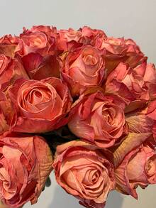 7/4/3/2/1 Pc Artificial Coral Pink Flame Rose, Mother's Day Decoration, Wedding Season, Graduation, Gift, Candlelight Dinner, Tabletop, Centerpiece, Plastic Flowers, School Dormitory Office Decoration, Outdoor Party Event Holiday Birthday Party Deco - Coral Pink - View 9