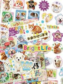 50 Pcs Kawaii Cartoon Animal Japanese Text Sticker Pack Soft Pet Wildlife Vinyl Decals Cute Letter Graphics For Notebook Water Jug Travel Luggage Scrapbook Phone Shell Sweet Aesthetic Decor Stickers - Multicolor - View 10