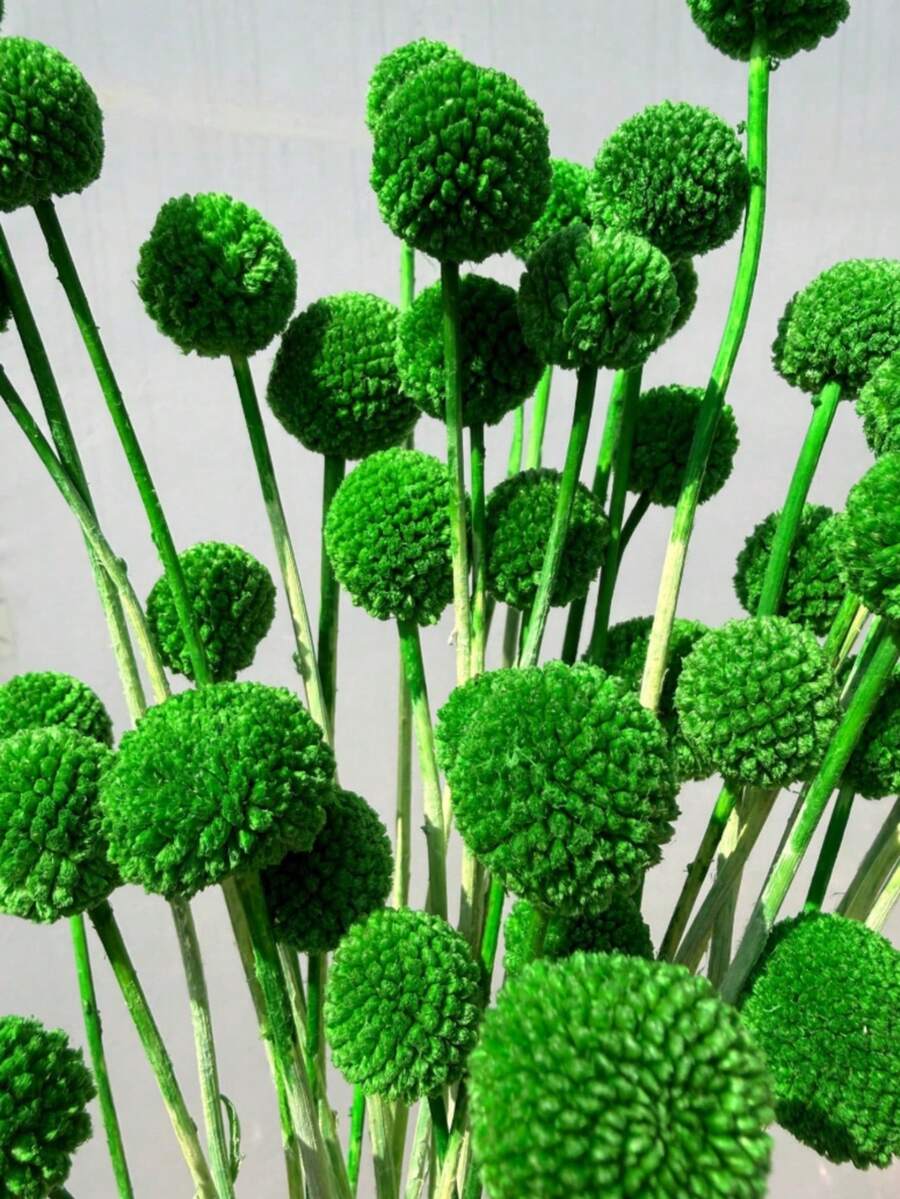 10/20 Peças Buquê de Flores Bola Dourada Artificial - Lótus da Neve Sem Resíduos Tipo Vidro, Flores Esféricas Multicoloridas Vibrantes, Adequado para Artesanato DIY, Casamento e Decoração Doméstica, Peça Central Durável do Estilo Floral Rústico ao Moderno - Bola dourada verde-escura - Visão 1