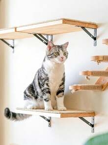 Cat Wall Shelf With Scratching Board, Pine Wood Wall-Mounted Floating Cat Perch, Windowside Hanging Hammock, Cat Wall Furniture For Sleeping, Playing And Climbing - Multicolor - View 9