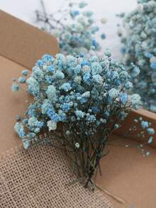 Pale Blue Baby's Breath