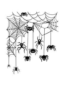 1pc Halloween Cartoon Spider Web Spider Decorative Sticker, Self-Adhesive Removable PVC Material, Suitable For Room, Bathroom Decoration, Wall Decoration, Home Window Decoration, Halloween Party Decoration Sticker, Theme Birthday Party Decoration - Multiple Styles - View 8