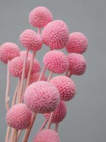 10/20件人造金色球形花束，玻璃般無殘留雪蓮花，鮮豔多色球形花朵，適合DIY手工、婚禮與居家裝飾，耐用中心裝飾，適用鄉村到現代花卉風格 - 粉紅色黃金球 - 查看 5